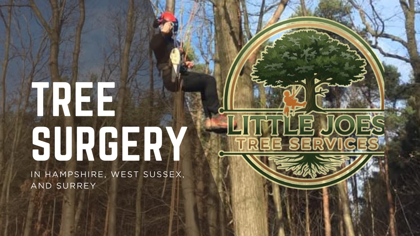Little Joe's arborist roped up and dismantling a tall tree with a chainsaw